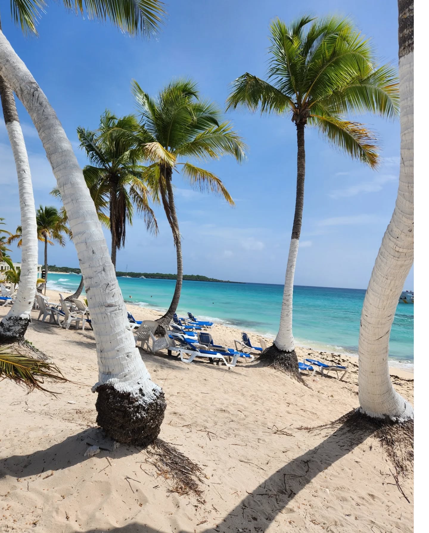 Caribe Tropical - Experiencia de viaje